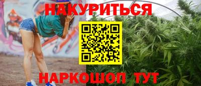 гидра Шахты